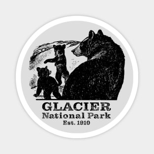 Glacier National Park Black Bears Magnet